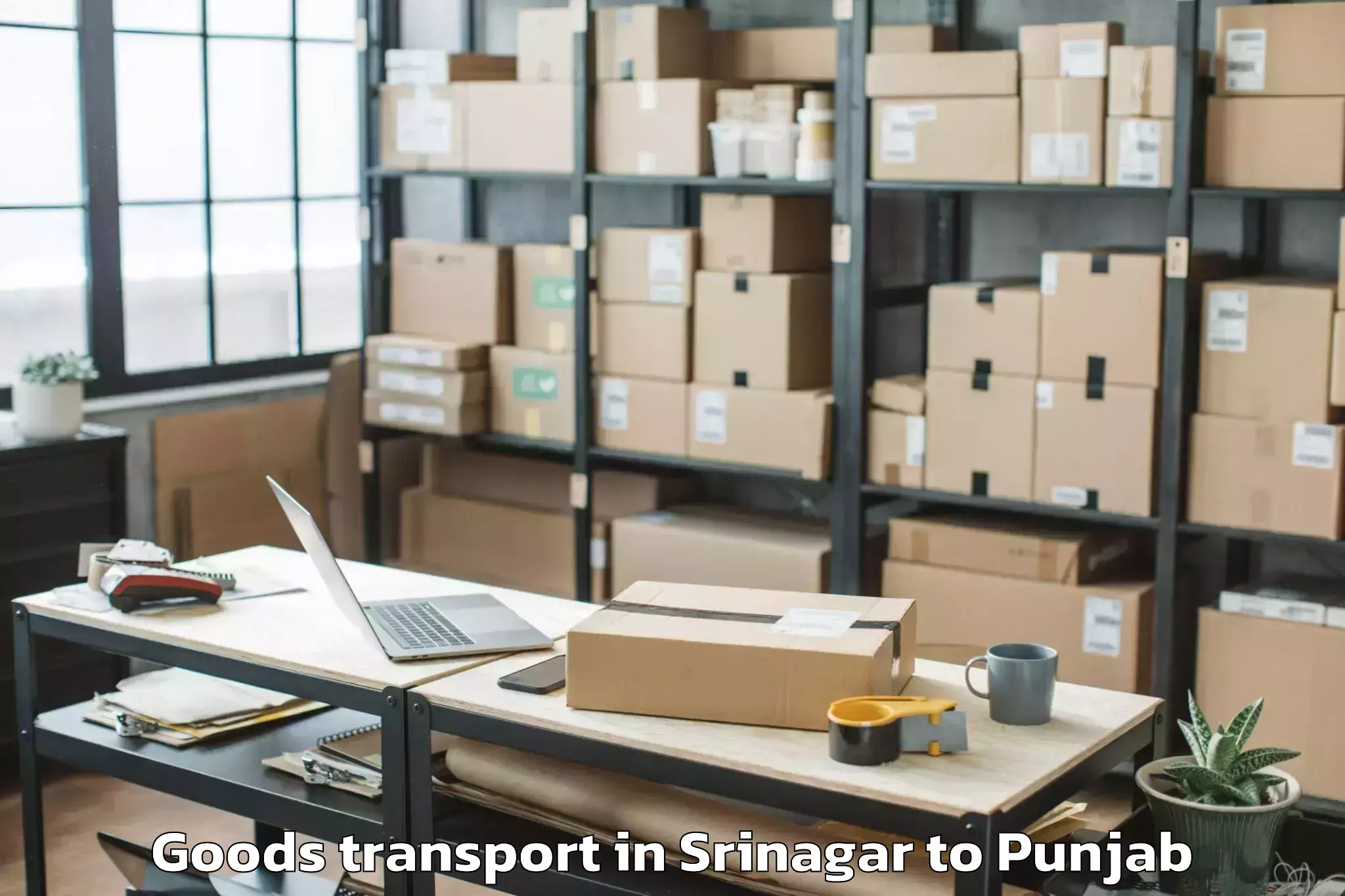 Srinagar to Vr Mall Punjab Goods Transport Booking